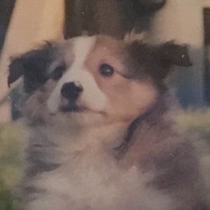 Meet your Posher, Alissa